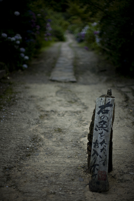 d0004832_9455450.jpg