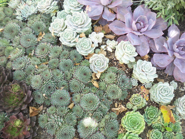 f0045433_12183129.jpg