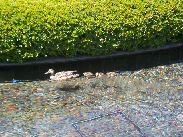 f0045433_12291840.jpg