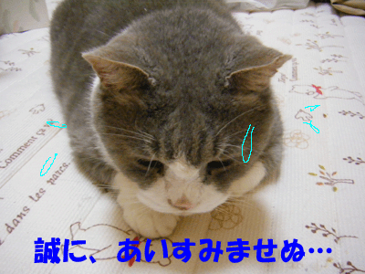 f0008935_15412914.gif
