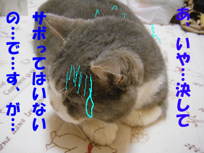 f0008935_15414446.gif