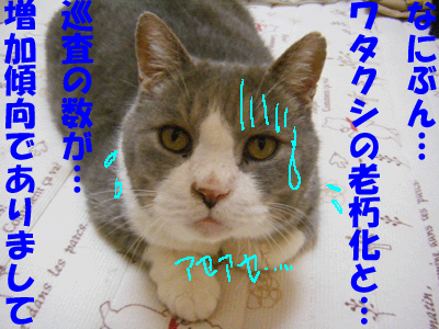 f0008935_1542028.gif