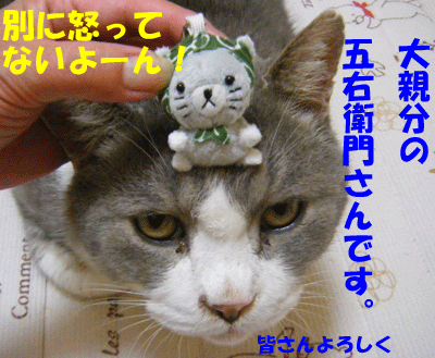f0008935_15421424.gif