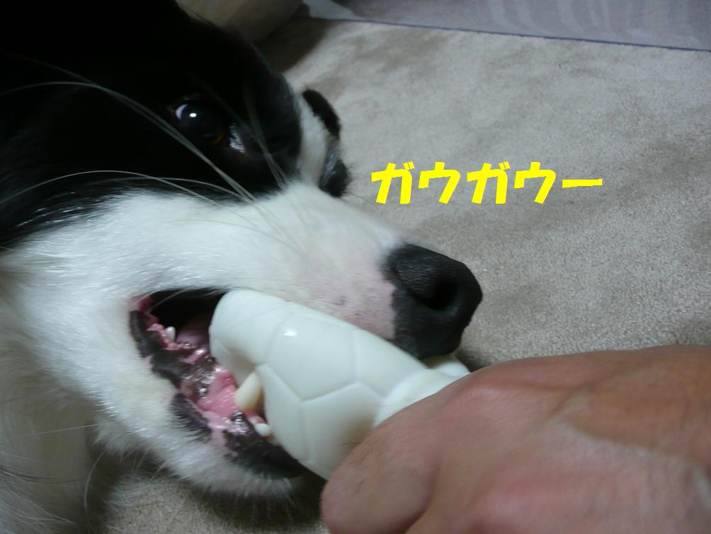 c0147241_1501749.jpg