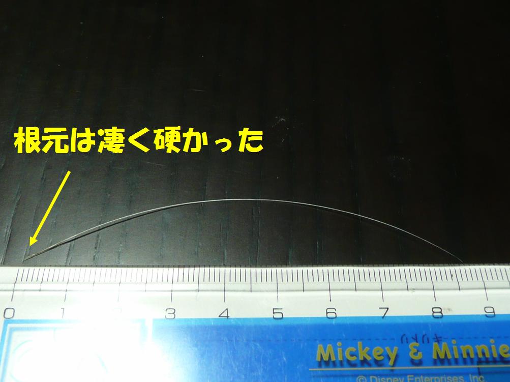 c0147241_15139.jpg