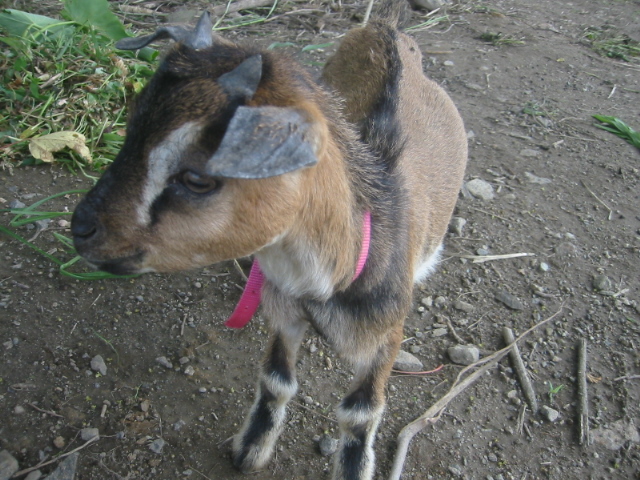 f0178145_16483313.jpg