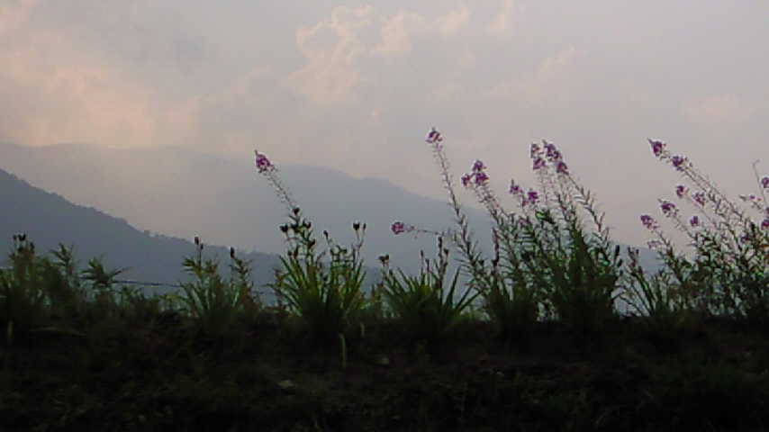 d0102655_17445861.jpg