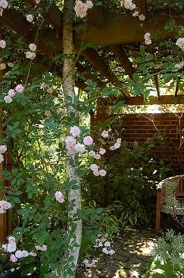 e0025655_741262.jpg