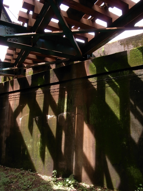 c0084666_2101485.jpg