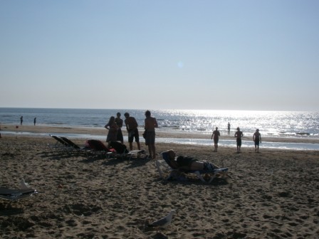 f0177666_4325575.jpg