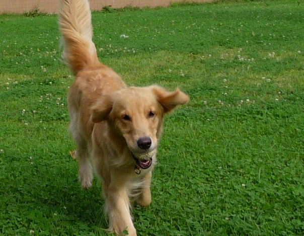 d0150568_11132655.jpg
