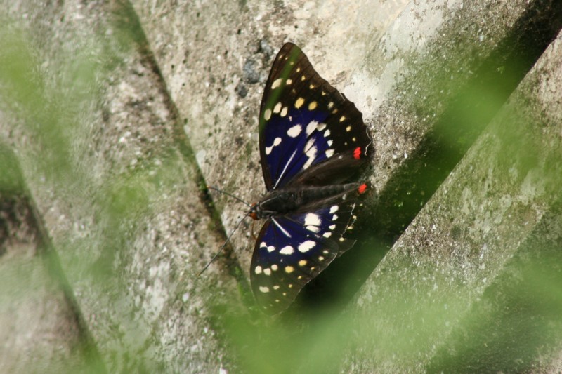 b0088772_22143617.jpg