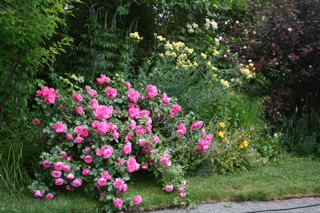 e0133273_22424395.jpg