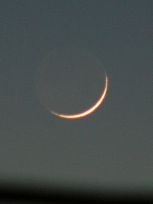 c0139375_14264485.jpg