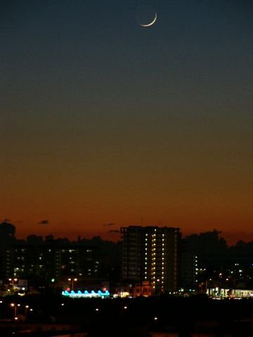 c0139375_14272565.jpg