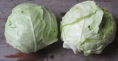 f0003283_17514354.jpg
