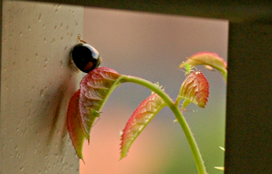 b0034284_18172762.jpg