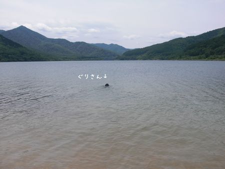 b0000885_758494.jpg