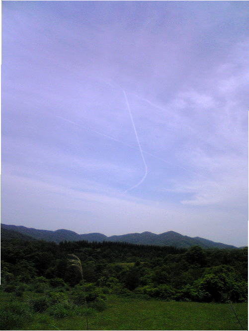 d0073587_1362188.jpg