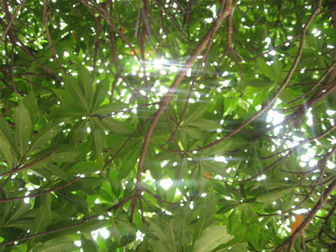 f0129187_18254014.jpg