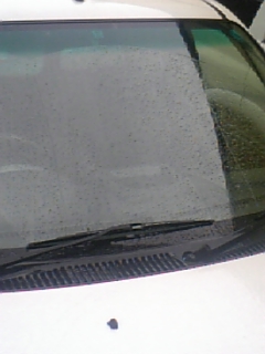 e0100589_8334219.jpg