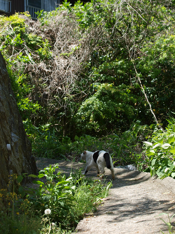 d0142891_18155059.jpg