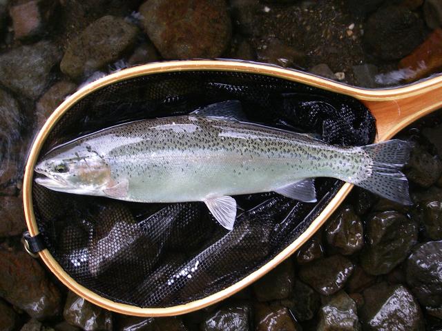 e0144195_1275021.jpg