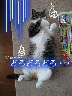 c0035001_14454986.jpg