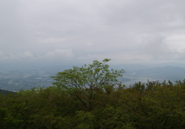 e0089001_22411183.jpg