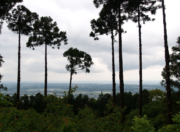 e0089001_2254380.jpg