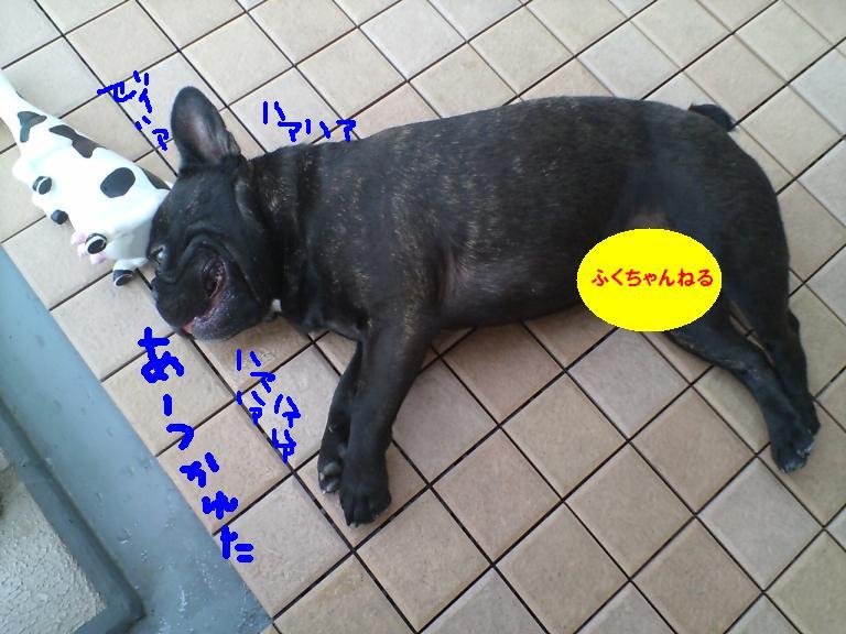 c0113109_1127559.jpg