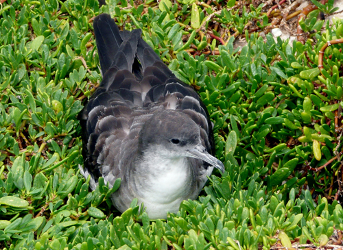 c0127909_8342878.jpg