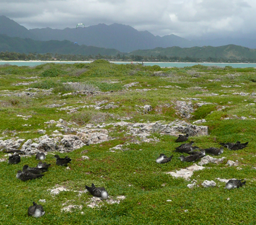 c0127909_8344749.jpg