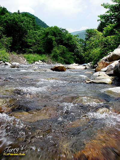 e0009009_830506.jpg