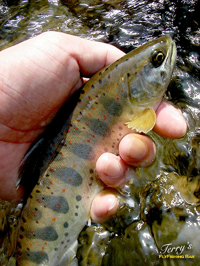 e0009009_8311616.jpg