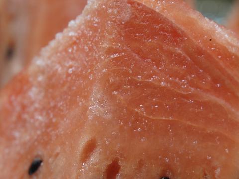 b0071413_2212378.jpg