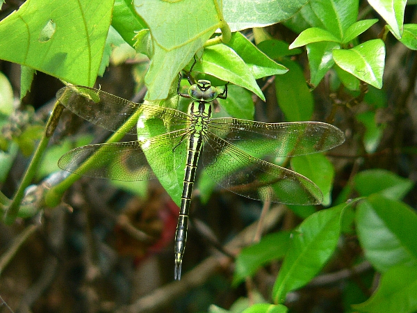 e0002314_19132519.jpg