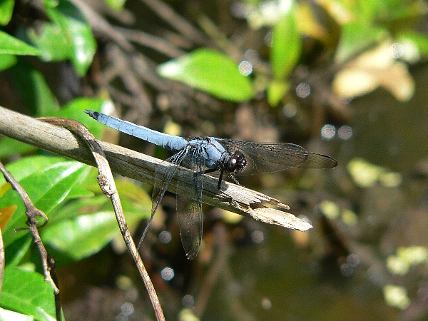 e0002314_19205822.jpg
