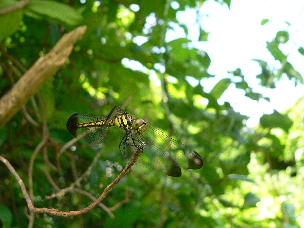 e0002314_1921168.jpg