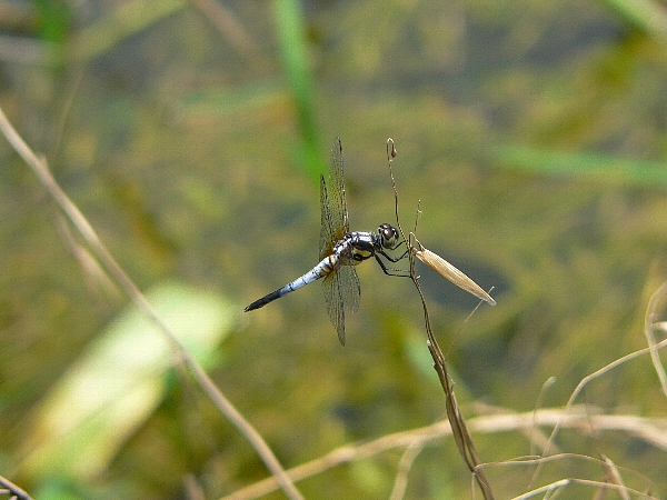 e0002314_19281019.jpg