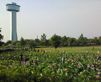 d0013816_11145720.jpg