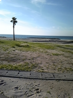 f0140016_18513018.jpg