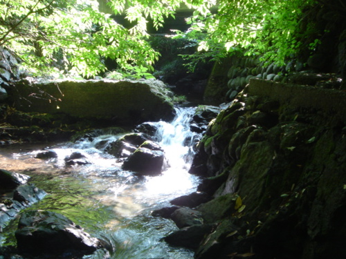 b0131724_2316502.jpg