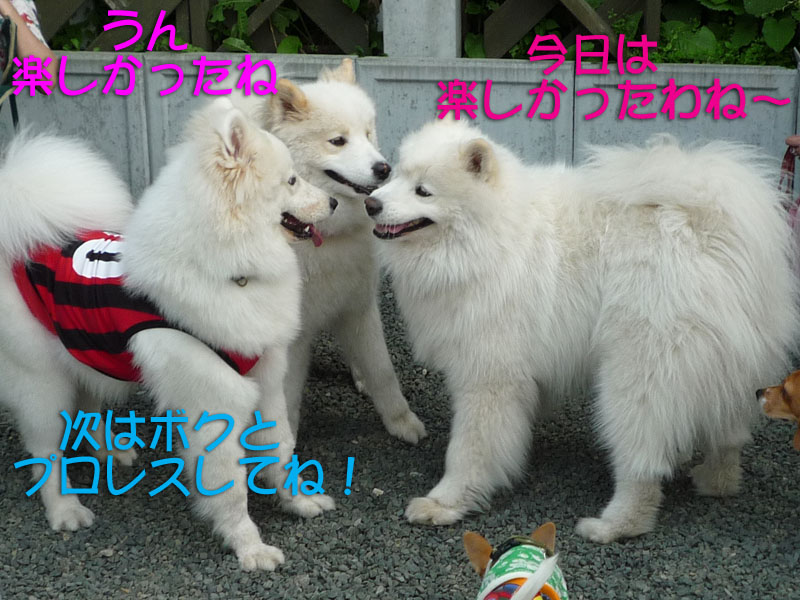 b0146024_2322477.jpg