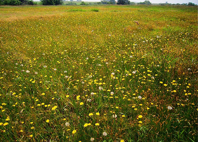 b0085526_14515980.jpg