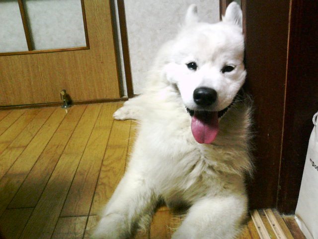 e0024126_0441752.jpg