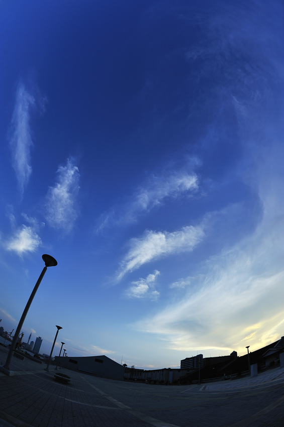 c0126428_36955.jpg