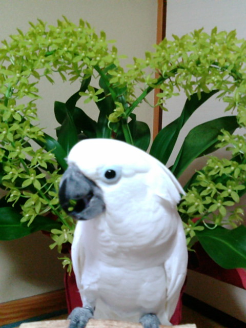 e0107730_22565933.jpg