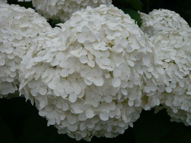 f0176534_1652158.jpg