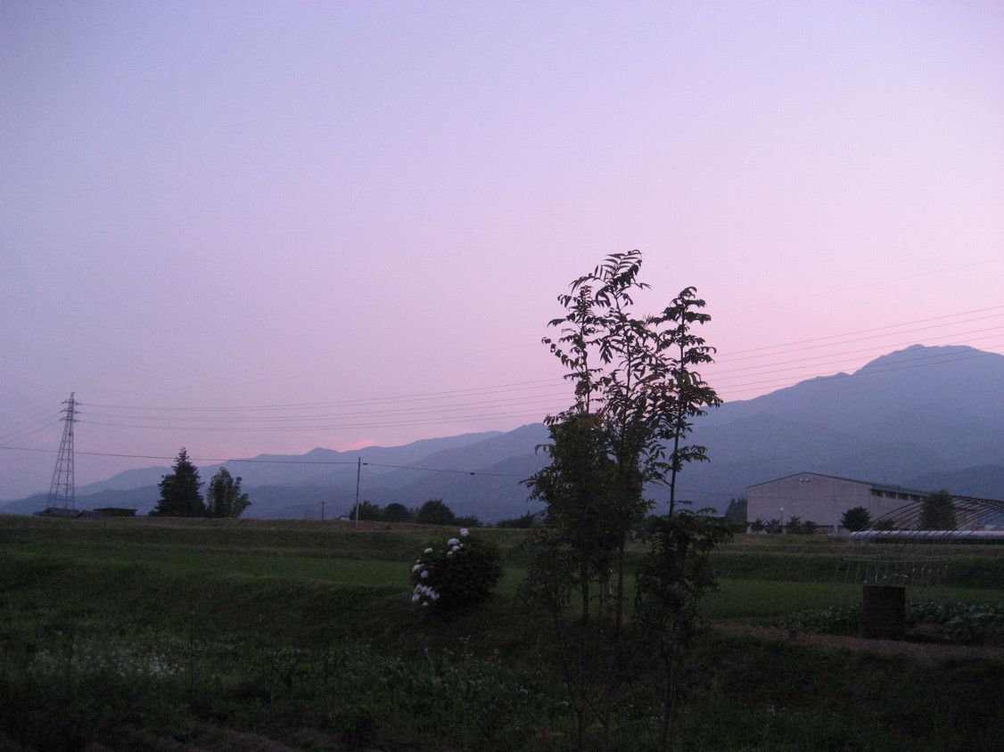 a0019637_124458.jpg